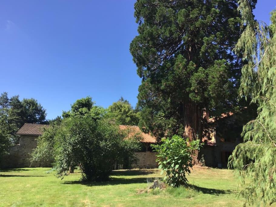 Ferienhaus Maison Des Sequoias - Parc 1 Hectare- Veyrac