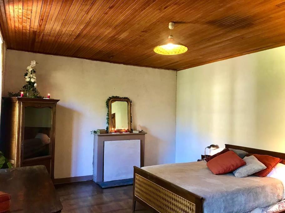 Maison Des Sequoias - Parc 1 Hectare- * Veyrac