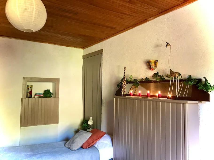 Ferienhaus Maison Des Sequoias - Parc 1 Hectare- *